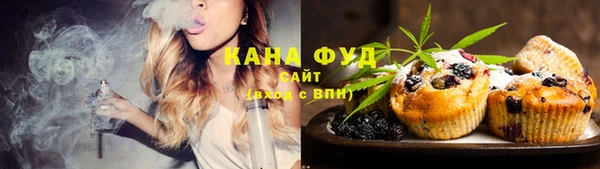 индика Лагань