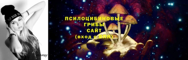 индика Лагань